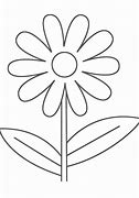 Image result for The Flowers Are Not Brightly Colored