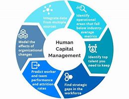 Image result for Human Capital Management HCM Logo