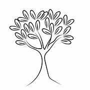 Image result for Tree Types Line Art