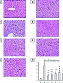 Image result for RSC Periodic Table