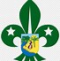 Image result for Fleur De Lis and Hexagram