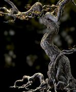 Image result for 3D Model Scary Tree