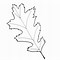 Image result for Fall Leaf Shapes Printable