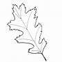 Image result for Fall Leaf Print