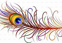 Image result for Peacock Feather Vector Icon