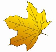 Image result for Autumn Leaf Doodle Art