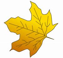 Image result for Autumn Leaf Outline Clip Art