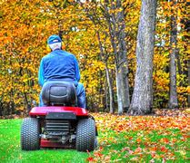 Image result for Pile of Autumn Leaves