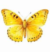 Image result for Butterfly Tree Logo