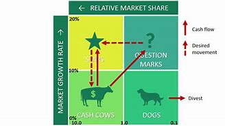 Image result for BCG Matrix Examples