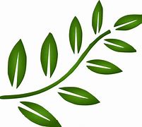 Image result for Branch Leaves SVG Curved