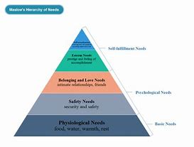 Image result for Needs Pyramid Chart