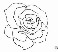 Image result for Easy Open Rose Drawing