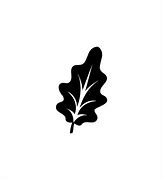 Image result for Transparent Oak Leaf Silhouette