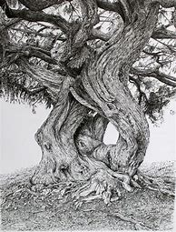 Image result for Awesome Pen and Ink Art Drawings