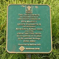 Image result for Death Apple Tree