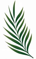 Image result for Printable Real Leaf