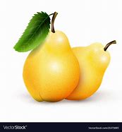 Image result for 2 Pears Clip Art