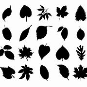 Image result for Flower Leaf Silhouette