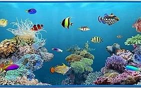 Image result for Live Aquarium Screensaver