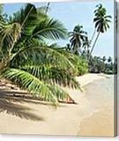 Image result for Tropical Island Wall Art