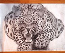 Image result for Jaguar Sketch Design C-X17