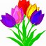 Image result for Free Spring Tulips Border Clip Art