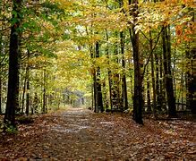 Image result for Fall Foliage Keene NH