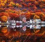 Image result for Fall in CT