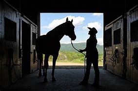 Image result for horse barn silhouette