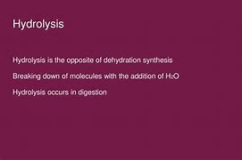 Image result for Dehydration Synthesis Equation