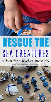 Image result for Sea Animals Activity