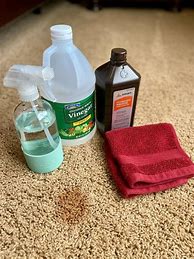 Image result for Best Homemade Carpet Cleaner Ever