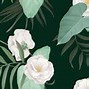 Image result for Flowers Drawing with Brown Background