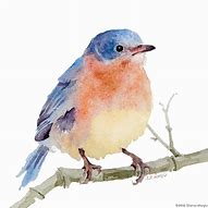 Image result for Watercolor Two Birds Branch Painting