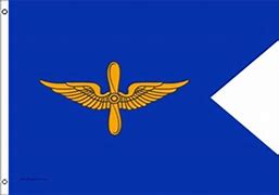 Image result for Aviation Guidon