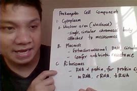 Image result for Bacterial Cell a Level Diagram