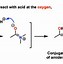 Image result for Amide Bond Hydrolysis