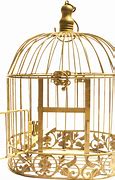 Image result for Bird Cage Icon