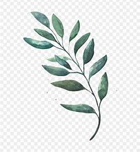 Image result for vine leaves watercolor