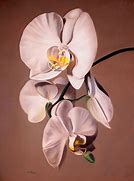 Image result for The White Orchid Painting