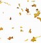 Image result for Fall Leaf Falling