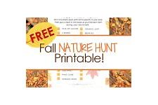 Image result for Fall Nature Clip Art