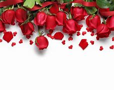 Image result for Red Rose White Background Clip Art