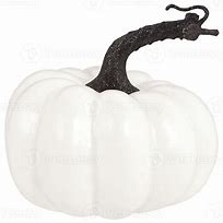 Image result for Pumpkin Patch Transparent