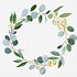 Image result for Eucalyptus Leaves Clip Art