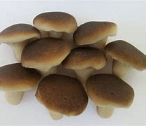 Image result for Marzipan Mushrooms