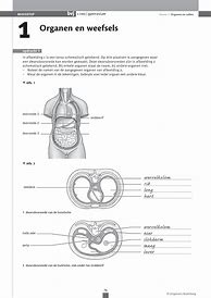 Image result for Biologie Voor Jou