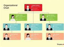 Image result for Template for Org Chart