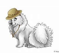 Image result for Safari Hat Little Boy